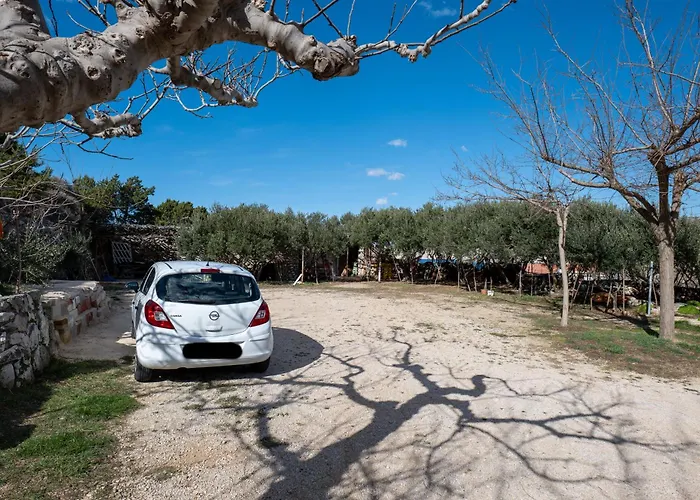 Apartament Barba Damir *